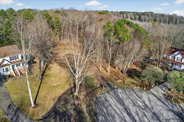 a view of a backyard with plants and tree
