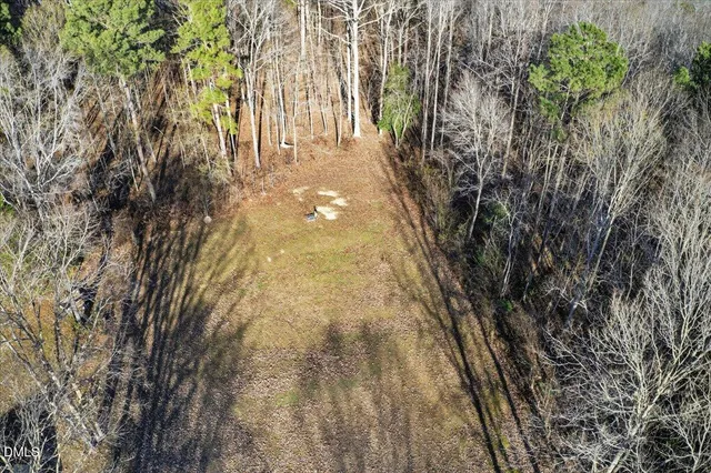 a backyard of a building with trees