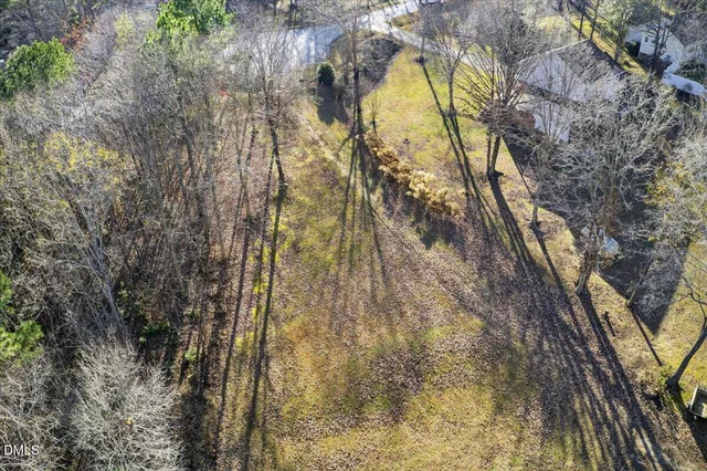 a view of a yard with plants and trees