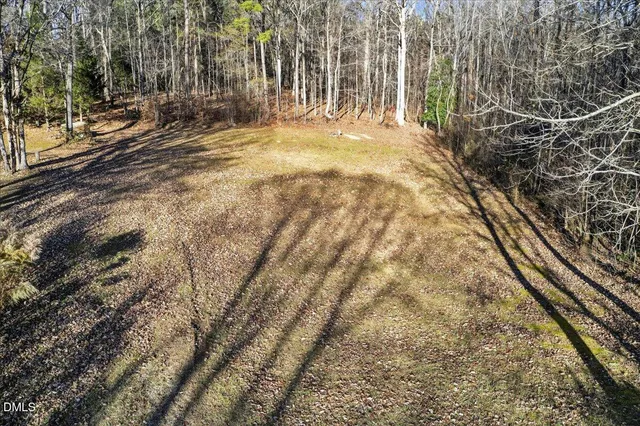 a view of a yard with trees