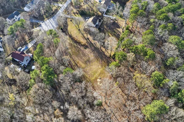 a view of a tree in a forest