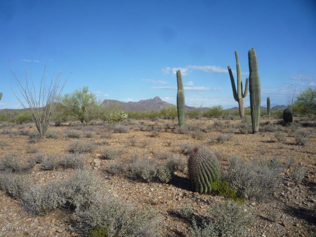 5805 North Abington Road, Unit 117 Tucson, AZ 85743 - Photo 10 of 15