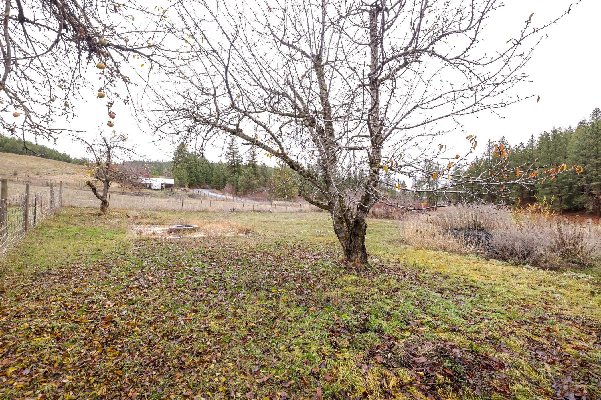 4710 East Valley Chapel Road Valleyford, WA 99036 - Photo 31 of 44
