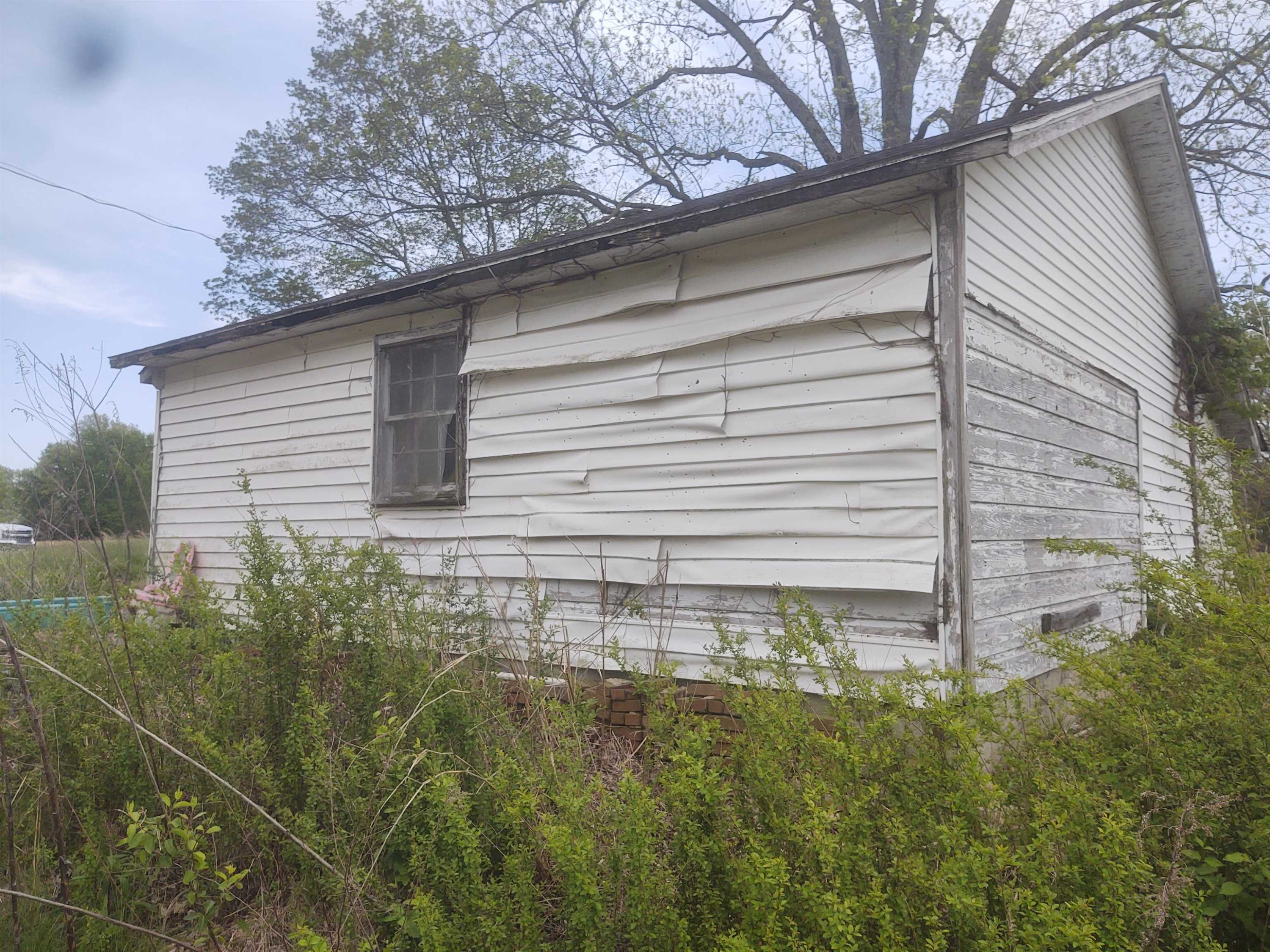 4755 South Union Grove Road Kenton, TN 38233 - Photo 8 of 10 a view of a backyard of the house