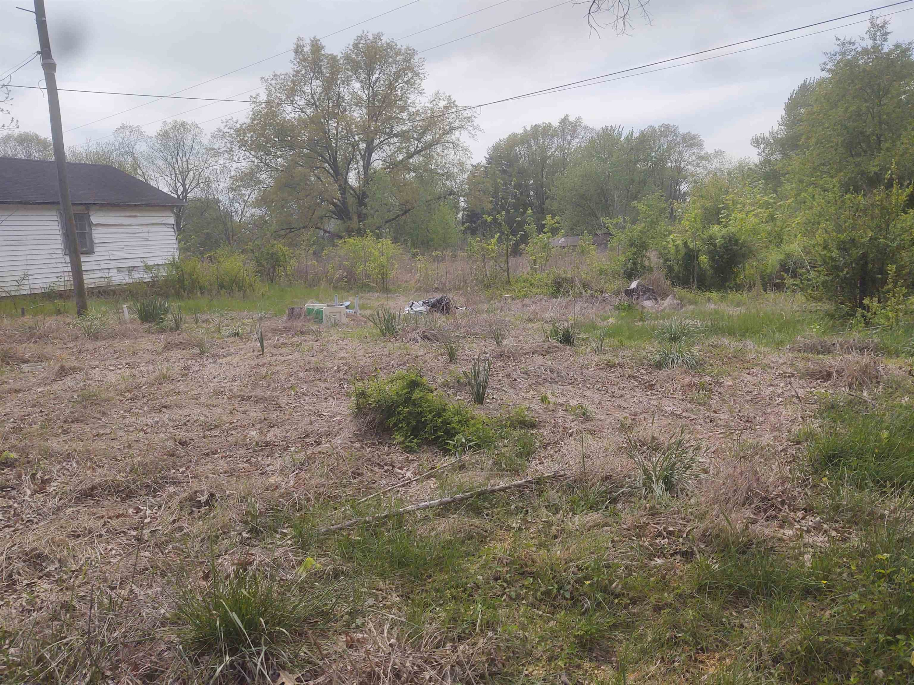4755 South Union Grove Road Kenton, TN 38233 - Photo 9 of 10 a view of a yard with a tree