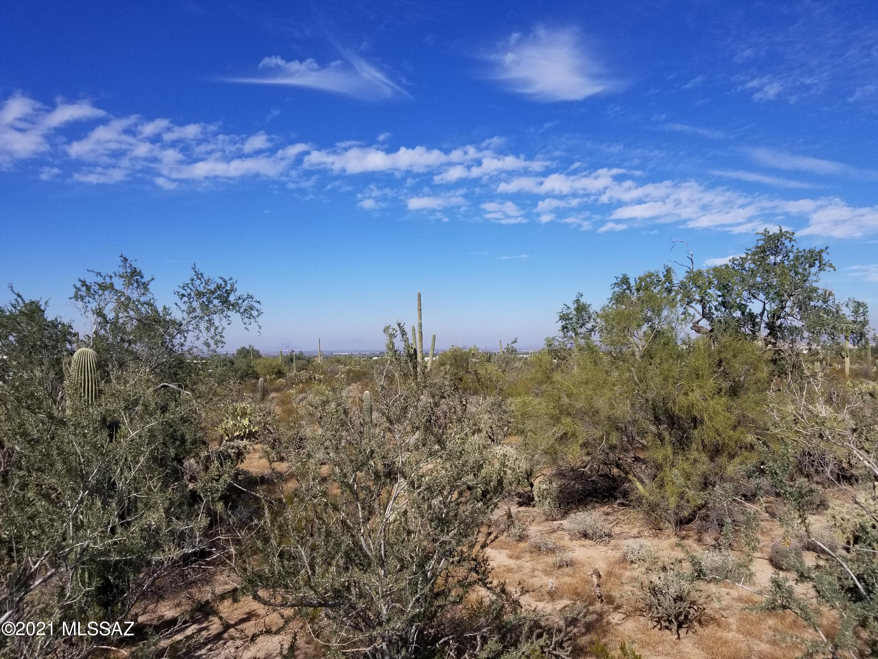 11110 West Rudasill Road, Unit 4 66 AC Tucson, AZ 85743 - Photo 5 of 19