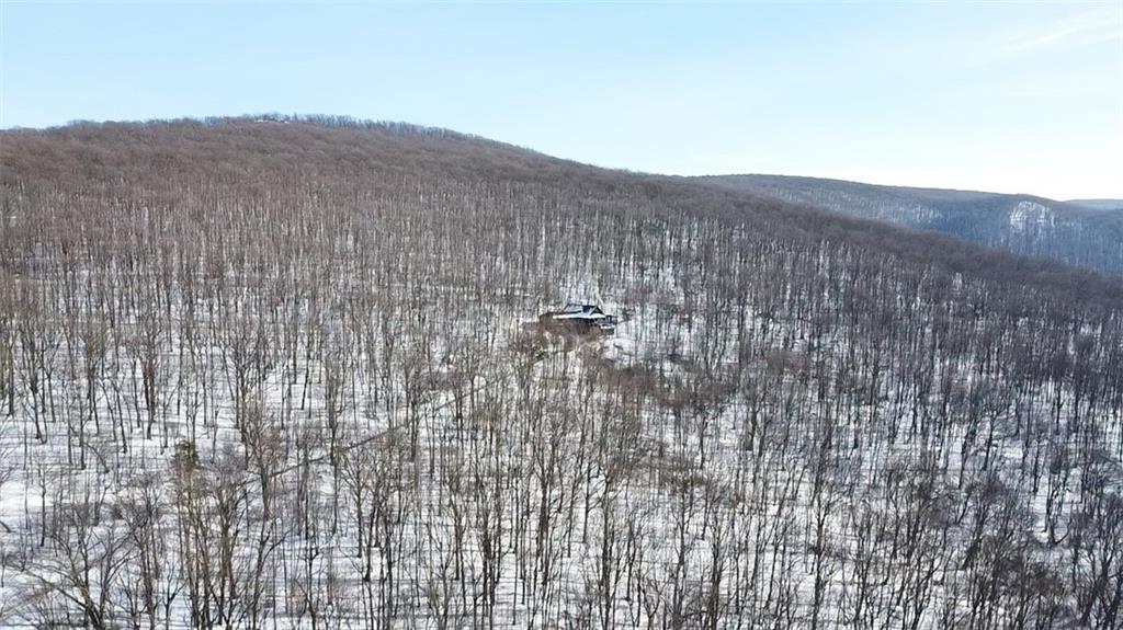 235 Pine Knob Road Hopwood, PA 15445 - Photo 35 of 39