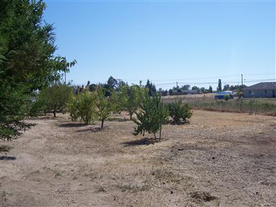 18590 El Paso Road Madera, CA 93638 - Photo 11 of 12 Gallery Image 11