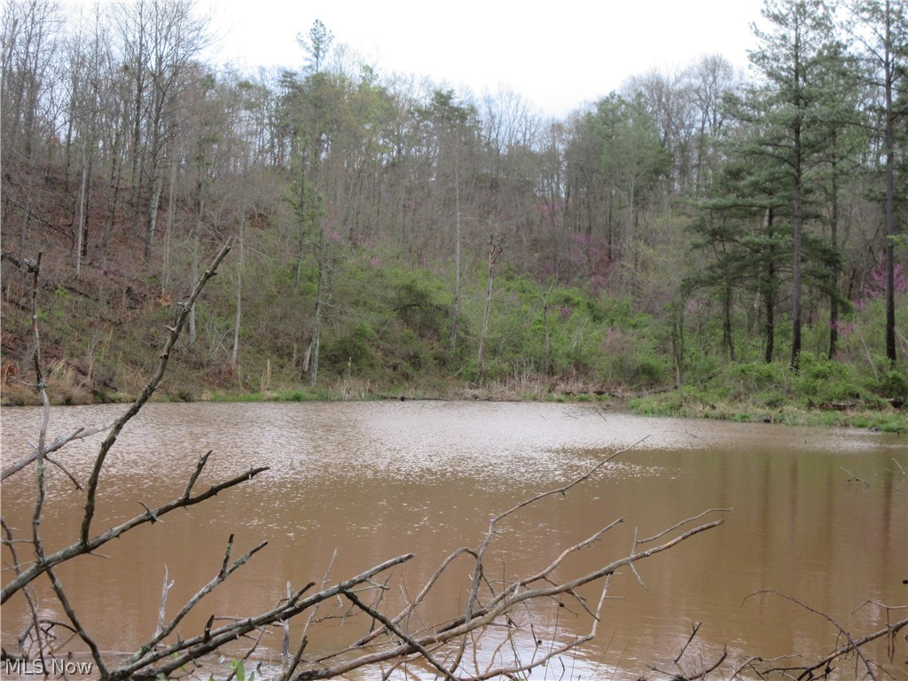 0 Coolville Road Reedsville, OH 45772 - Photo 2 of 9