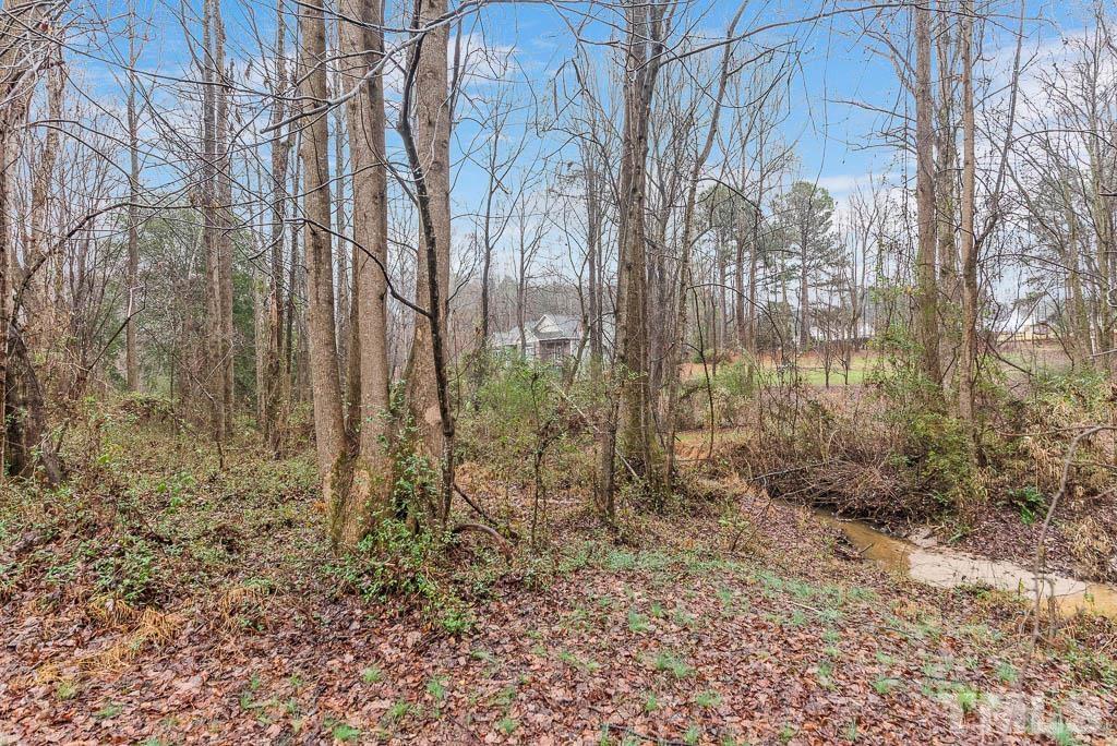 201 Tast Drive Wendell, NC 27591 - Photo 21 of 22 a backyard of a house with lots of green space