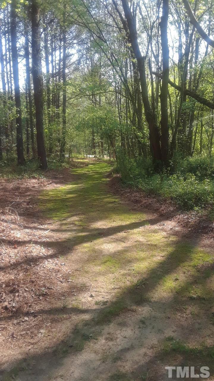 201 Tast Drive Wendell, NC 27591 - Photo 22 of 22 a view of a yard with a large trees