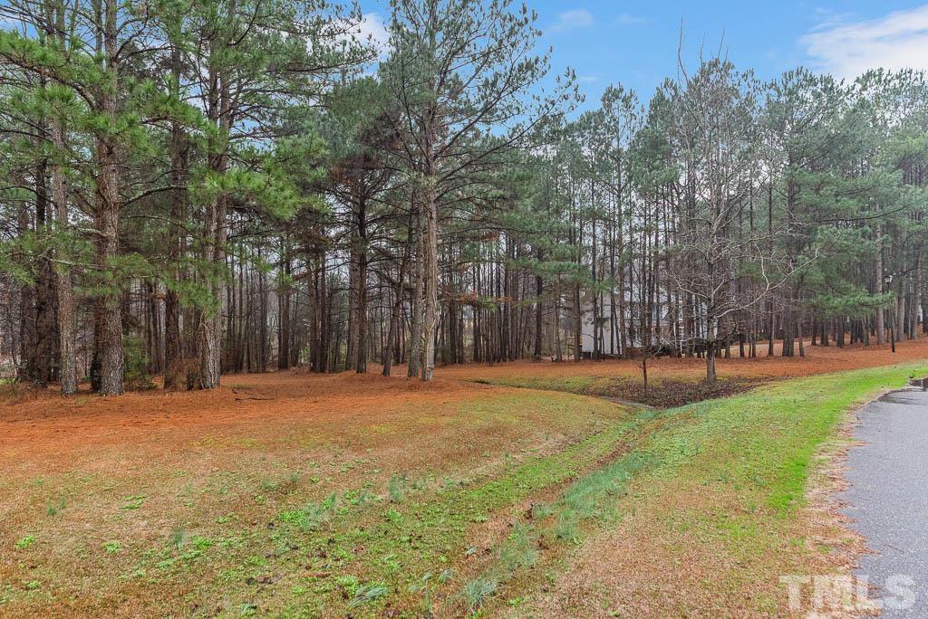 201 Tast Drive Wendell, NC 27591 - Photo 4 of 22 a view of outdoor space with trees all around