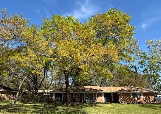 451 Pennington Street Lovelady, TX 75851 - Photo 1 of 28 a view of a house with a big yard