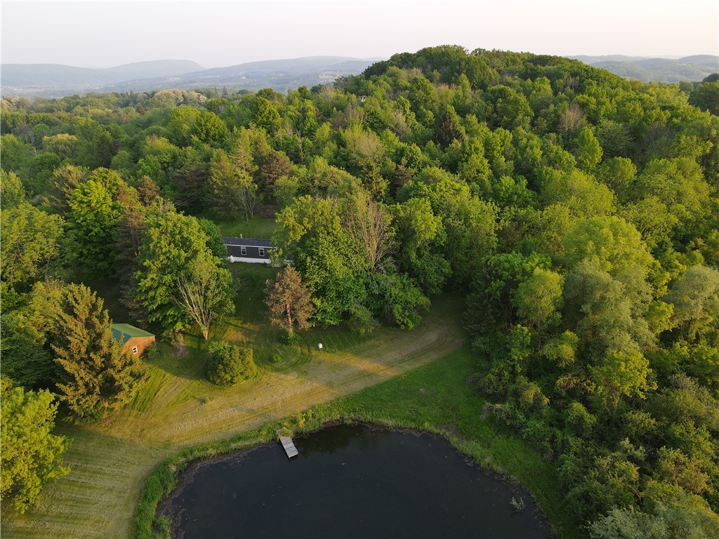 3620 Oakmount Road Bristol, NY 14469 - Photo 12 of 48