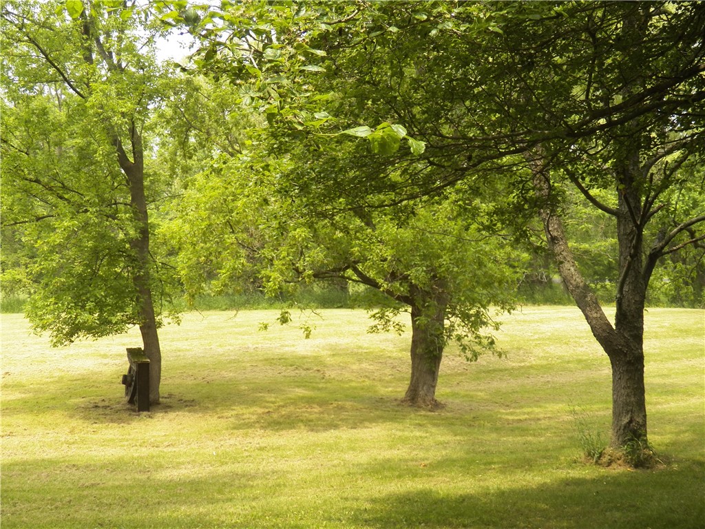 3620 Oakmount Road Bristol, NY 14469 - Photo 15 of 48