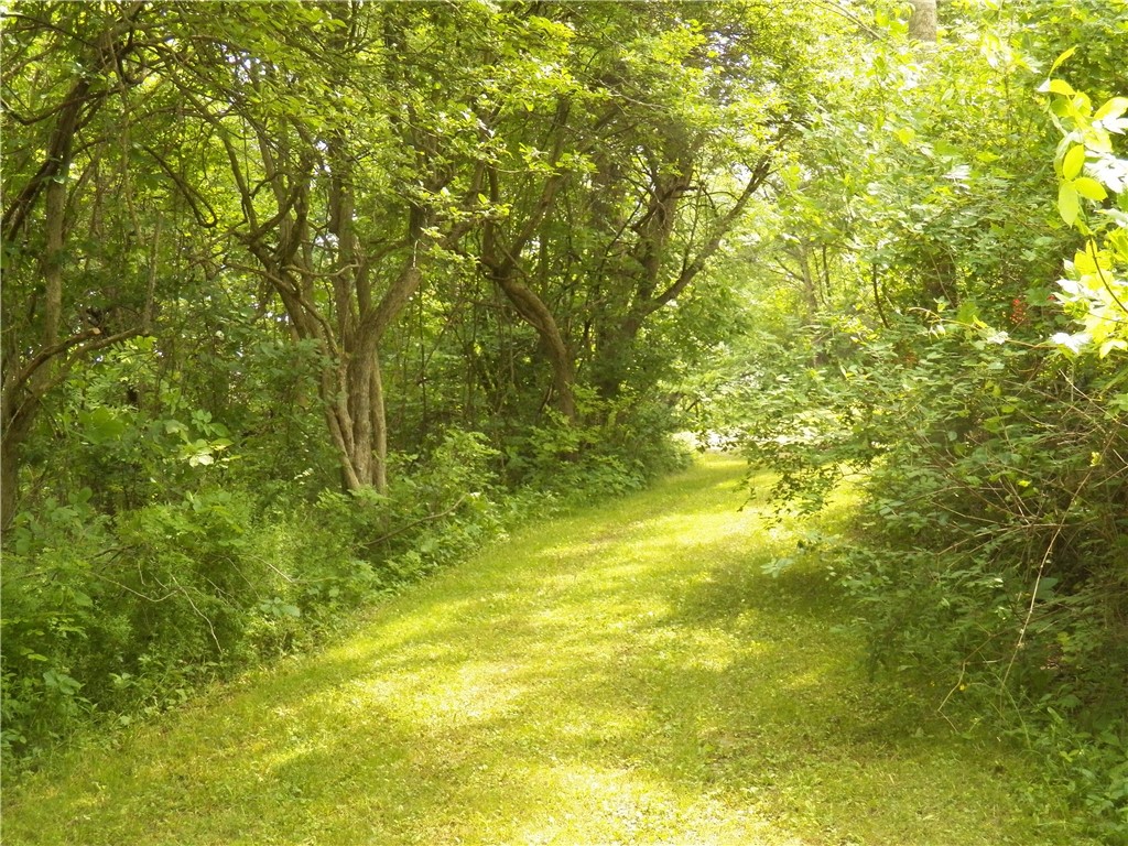 3620 Oakmount Road Bristol, NY 14469 - Photo 16 of 48