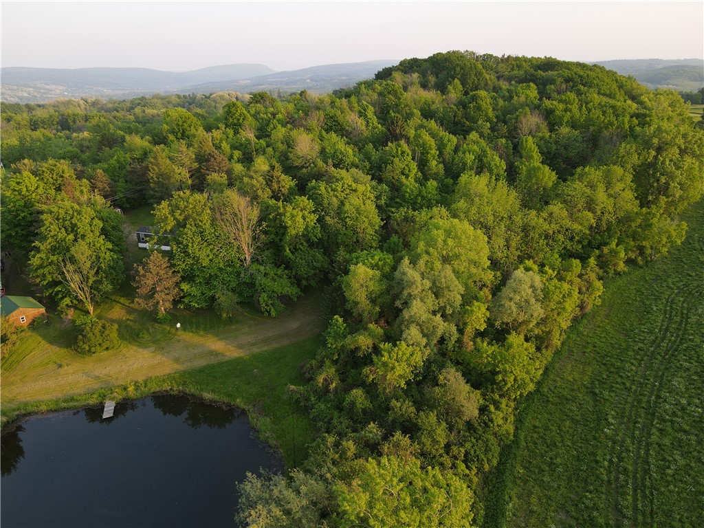 3620 Oakmount Road Bristol, NY 14469 - Photo 40 of 48