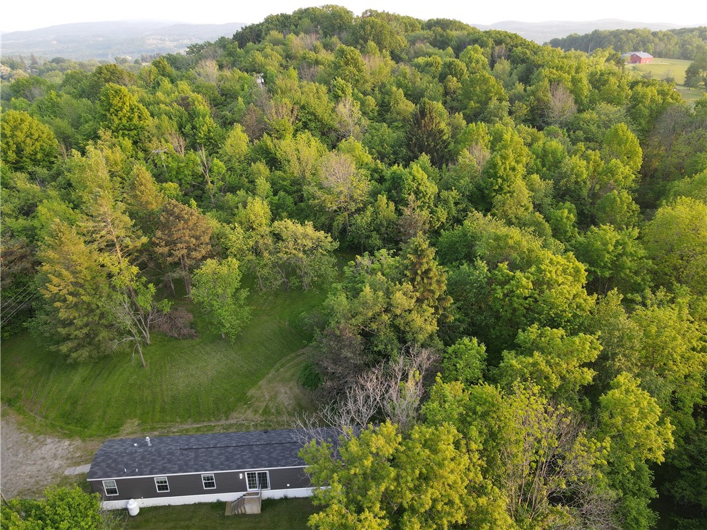 3620 Oakmount Road Bristol, NY 14469 - Photo 43 of 48