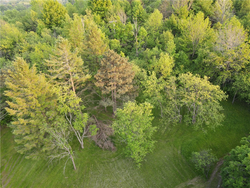 3620 Oakmount Road Bristol, NY 14469 - Photo 46 of 48