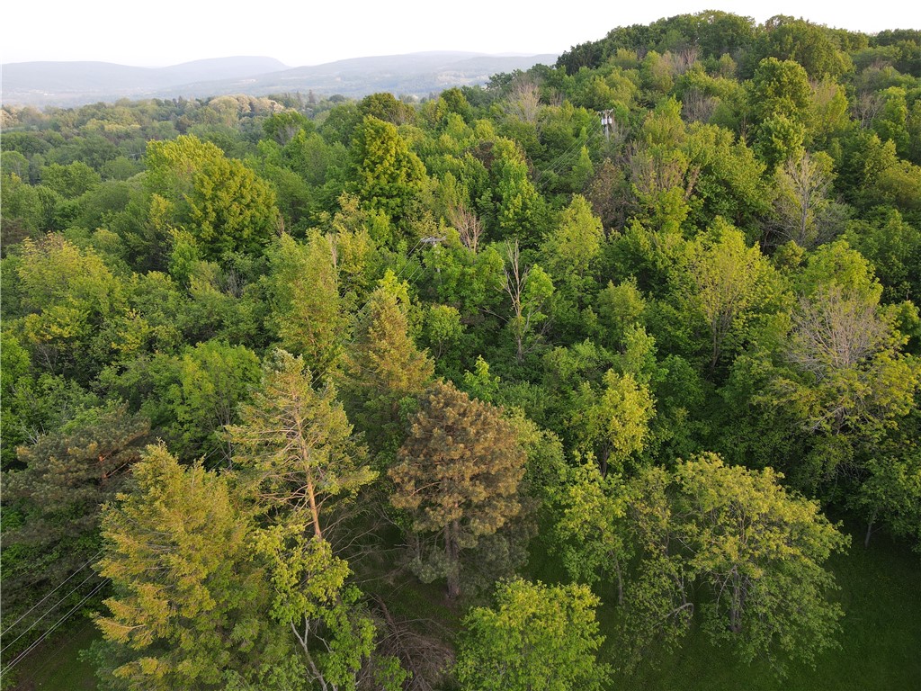 3620 Oakmount Road Bristol, NY 14469 - Photo 47 of 48