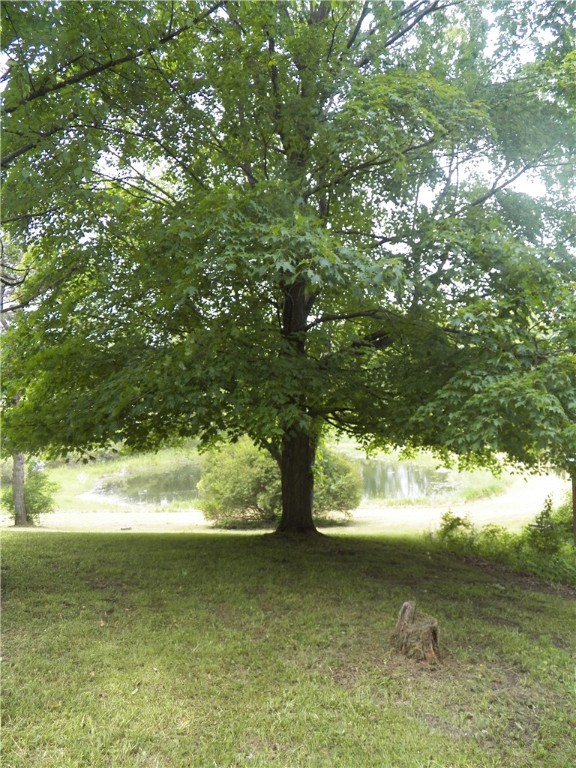 3620 Oakmount Road Bristol, NY 14469 - Photo 7 of 48