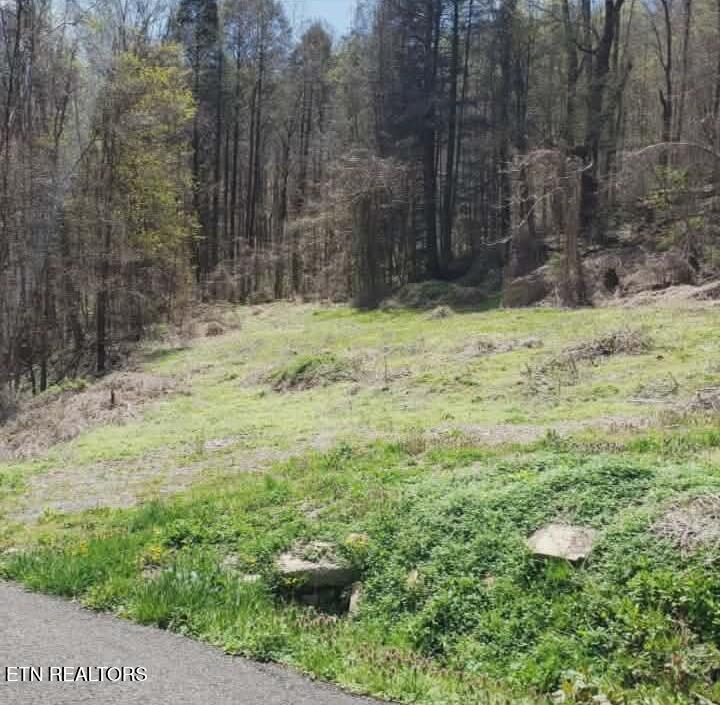 1577 Beans Fork Road Middlesboro, KY 40965 - Photo 4 of 4 1000018979