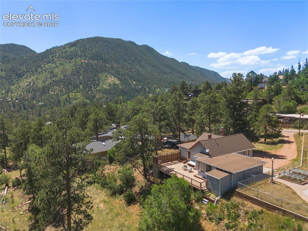 7755 Topeka Avenue Cascade, CO 80809 - Photo 36 of 38