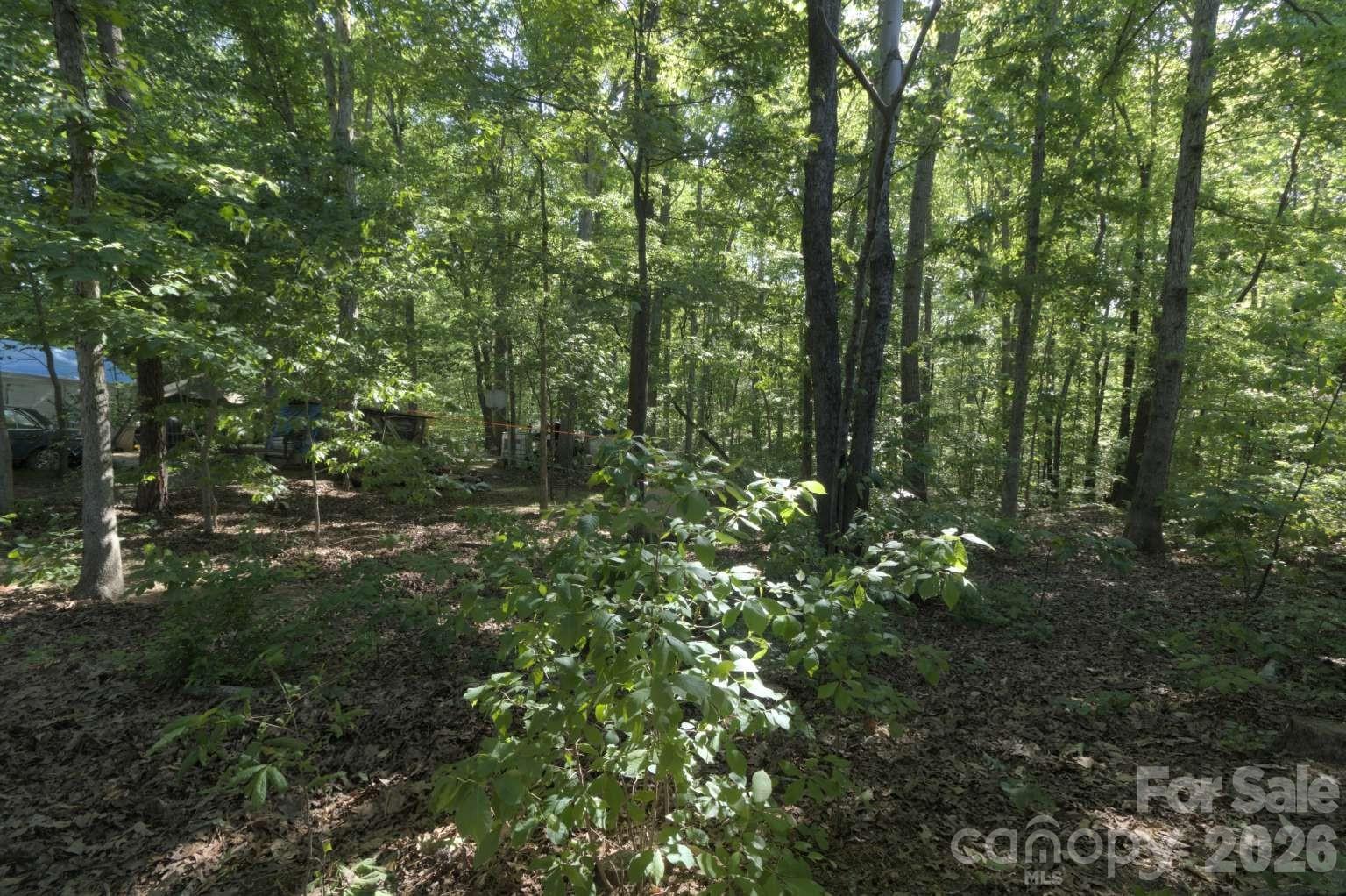 0 Battle Road Statesville, NC 28625 - Photo 2 of 9
