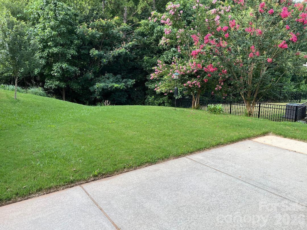 6003 Fallondale Road Waxhaw, NC 28173 - Photo 30 of 35