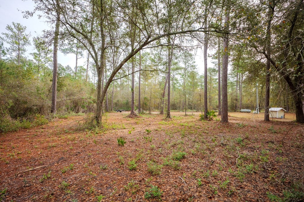 103 Register Road Lakeland, GA 31635 - Photo 7 of 17 Gallery Image 7