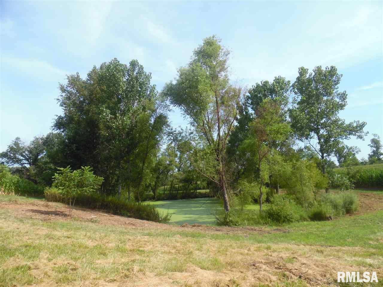 2282 Lone Road Ashland, IL 62612 - Photo 13 of 20
