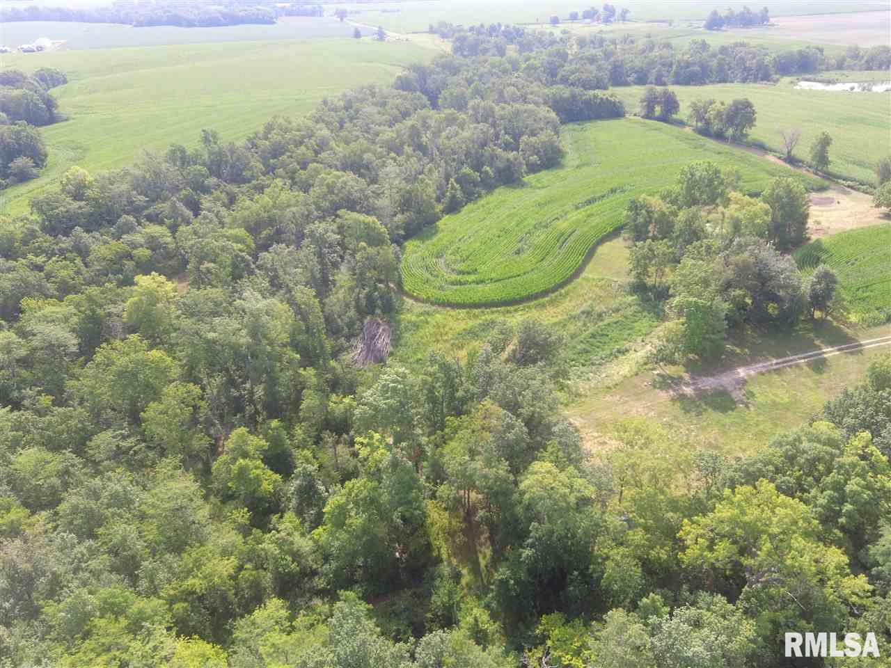 2282 Lone Road Ashland, IL 62612 - Photo 3 of 20