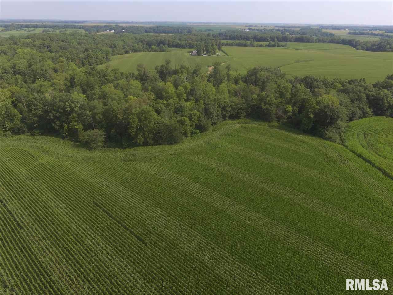2282 Lone Road Ashland, IL 62612 - Photo 7 of 20