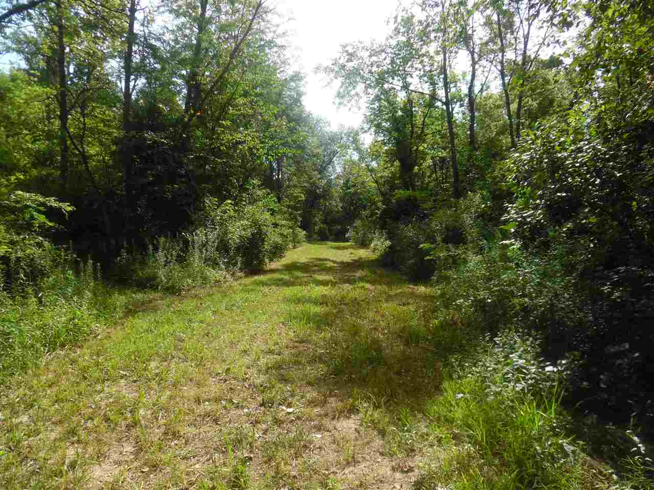 2282 Lone Road Ashland, IL 62612 - Photo 10 of 20