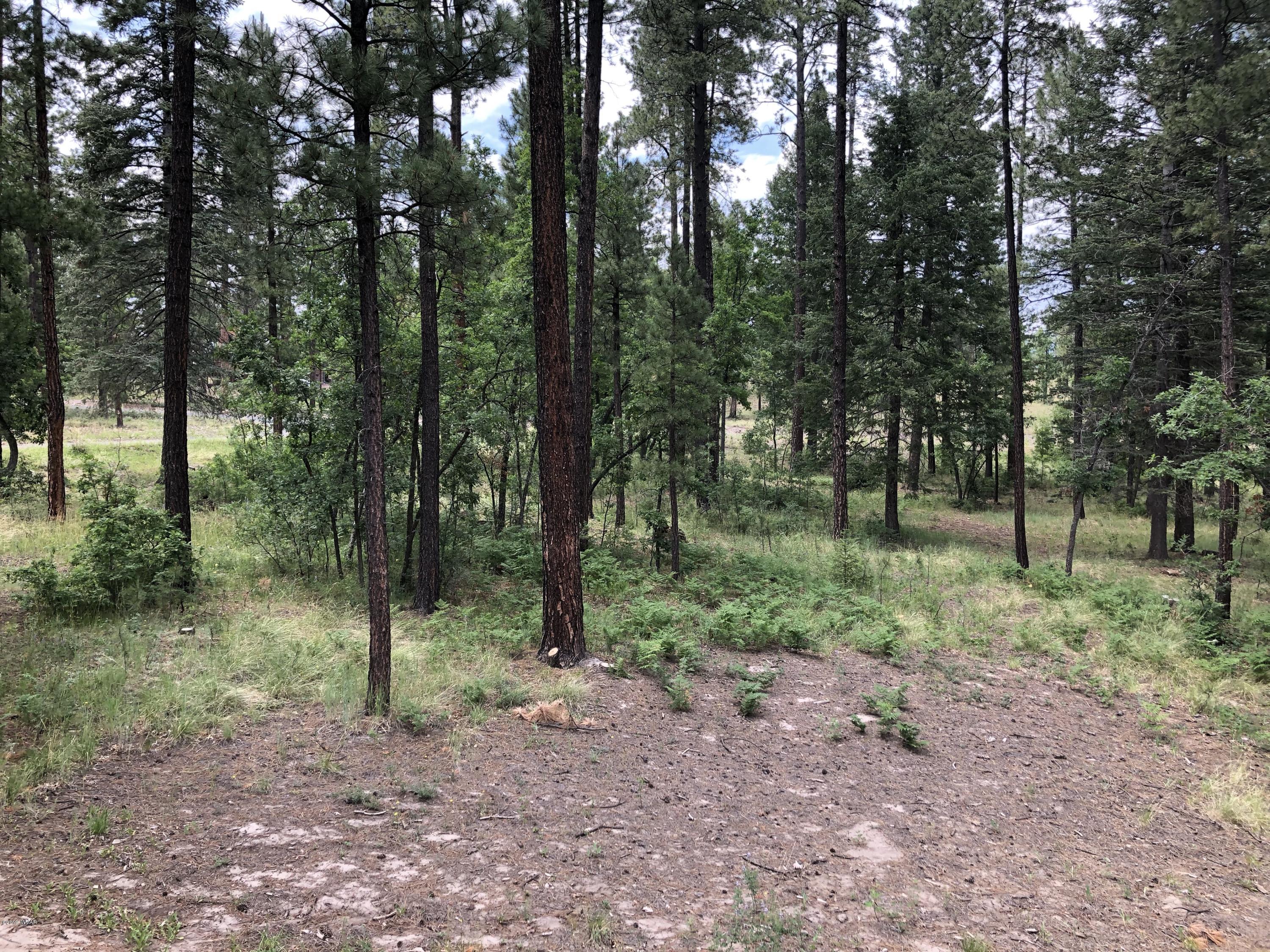 24 Co Road Alpine, AZ 85920 - Photo 13 of 70