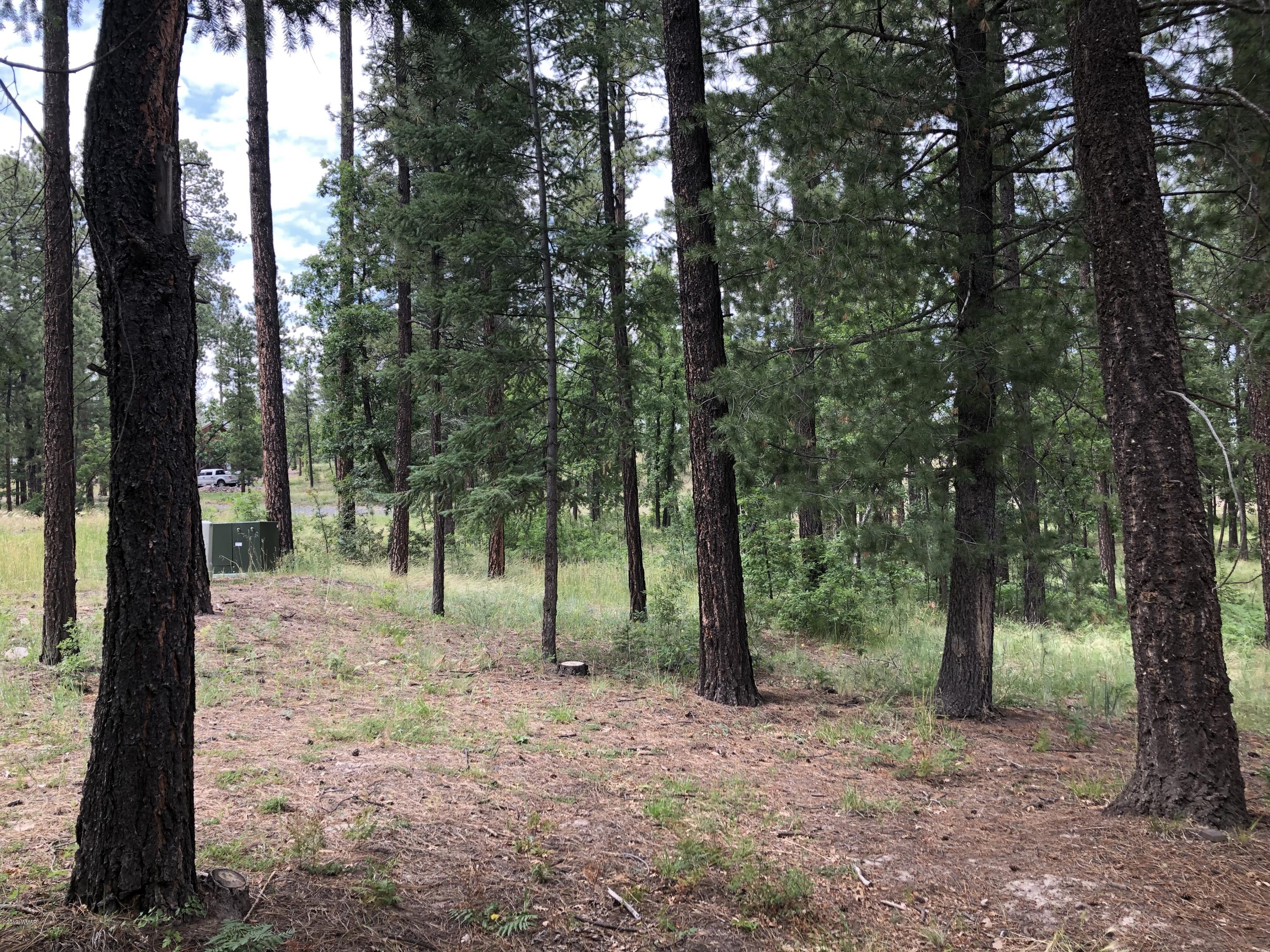 24 Co Road Alpine, AZ 85920 - Photo 14 of 70