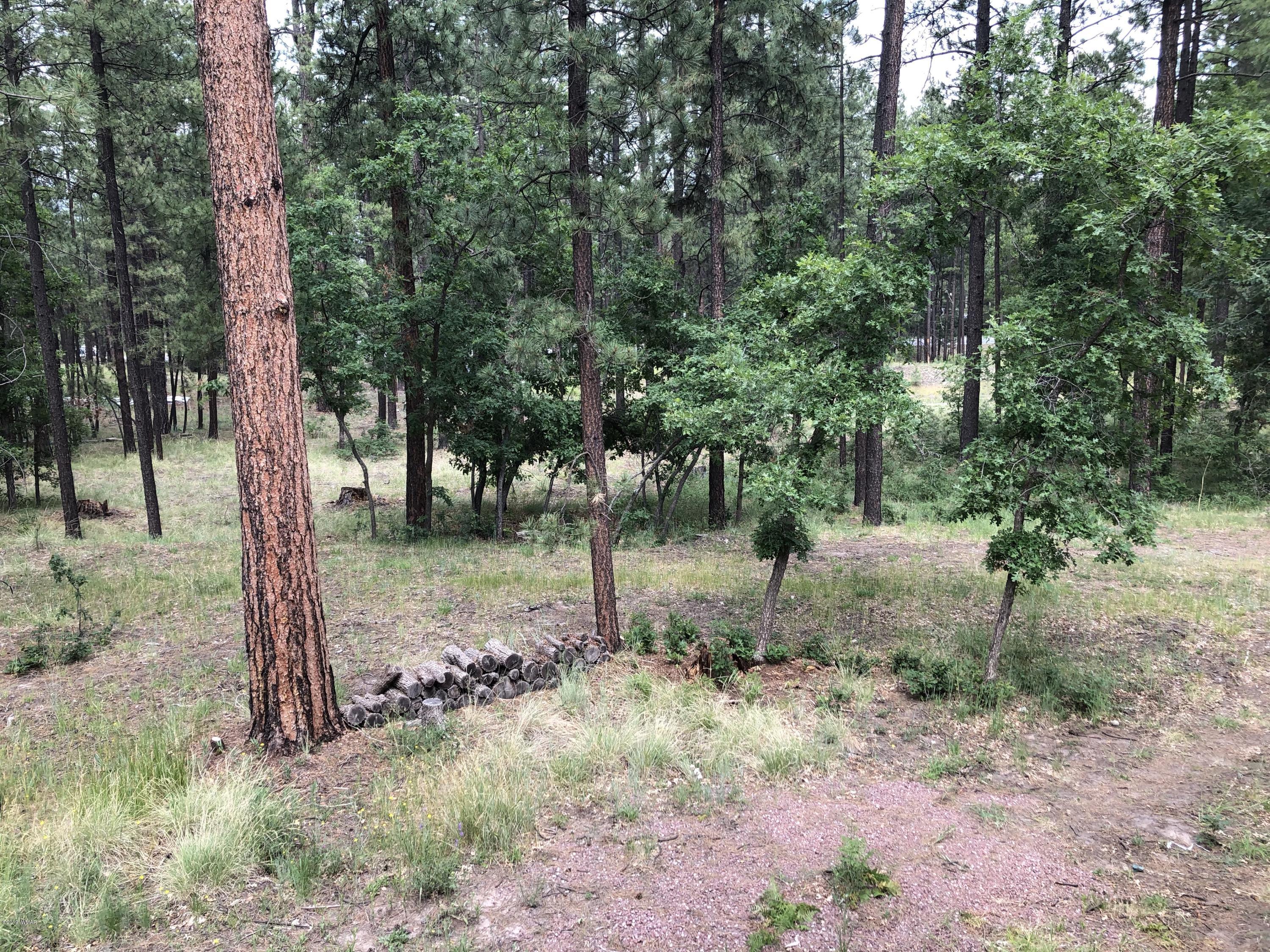 24 Co Road Alpine, AZ 85920 - Photo 15 of 70