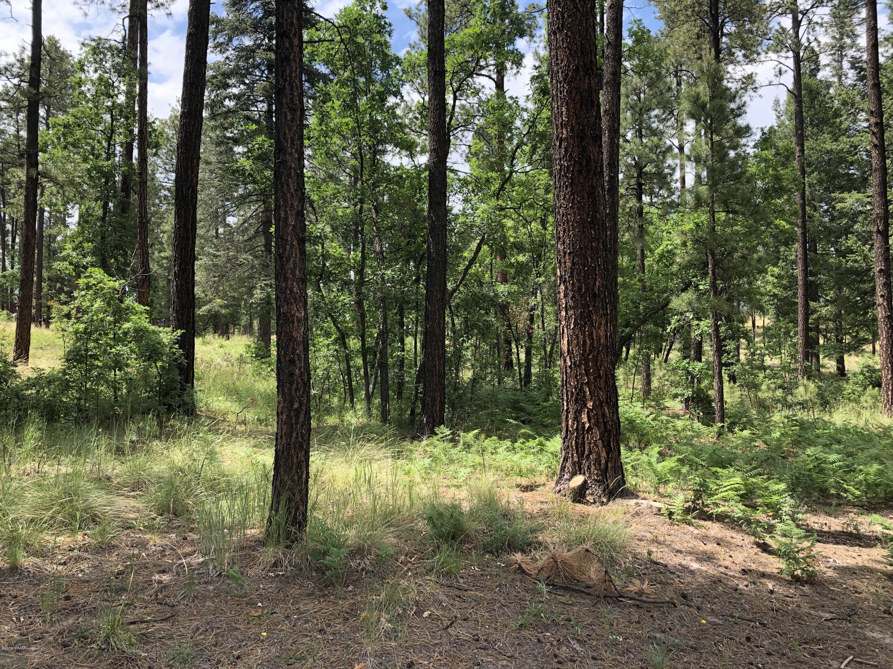 24 Co Road Alpine, AZ 85920 - Photo 66 of 70