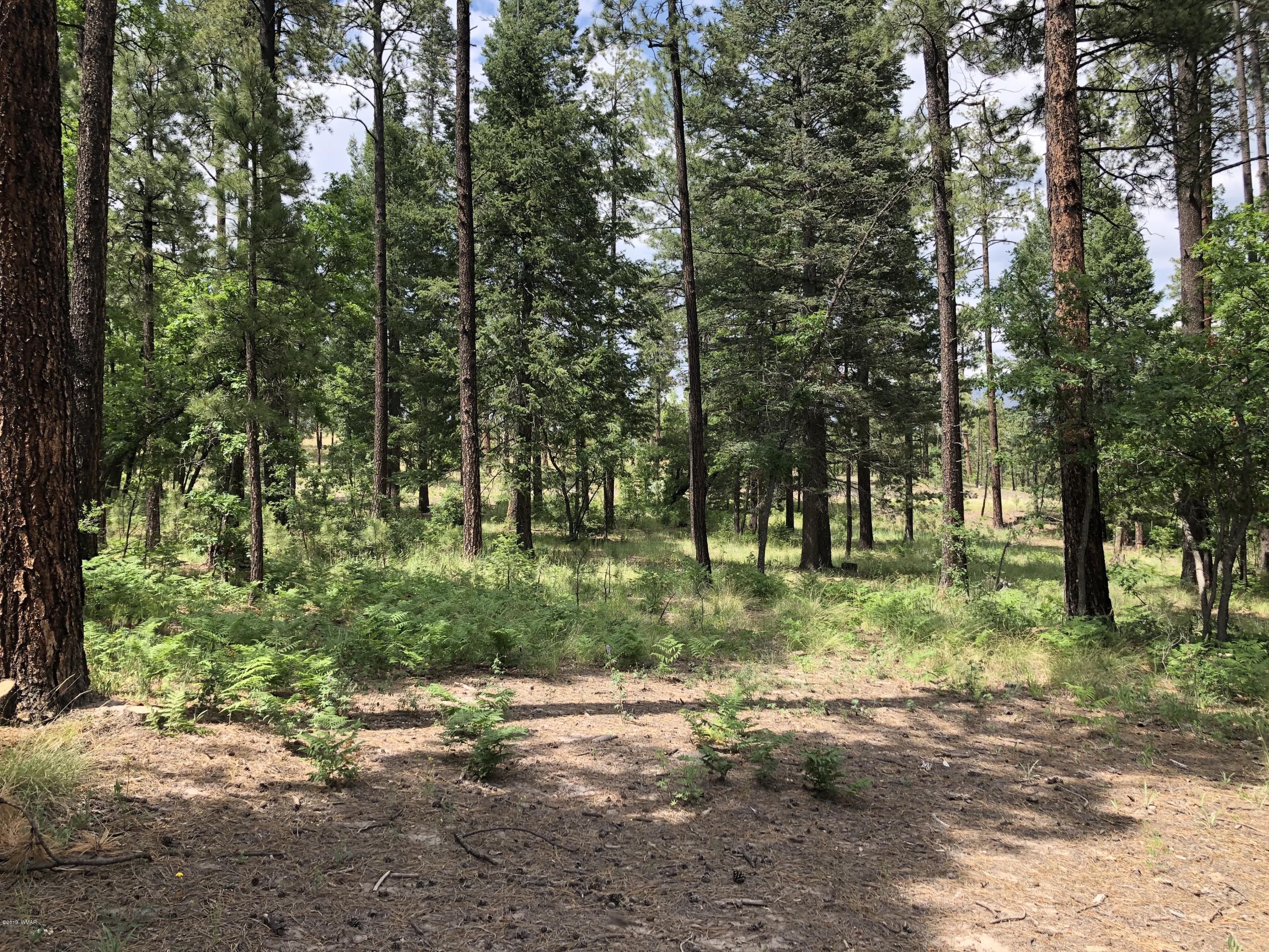 24 Co Road Alpine, AZ 85920 - Photo 67 of 70