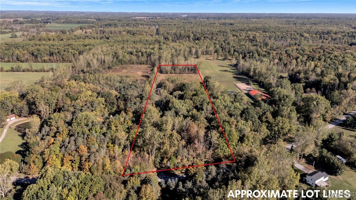 11142 Crego Road Newstead, NY 14001 - Photo 48 of 48