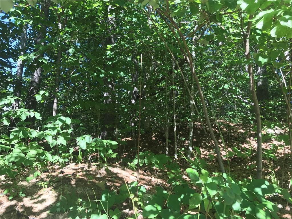 26 Arundel Road Raymond, ME 04071 - Photo 6 of 19 Looking up at the land