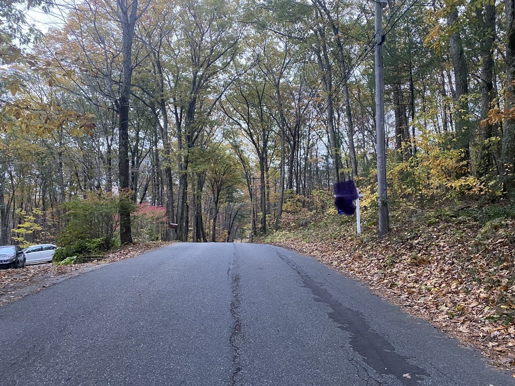 0 Vinton Road Holland, MA 01521 - Photo 2 of 2 a view of road with large trees