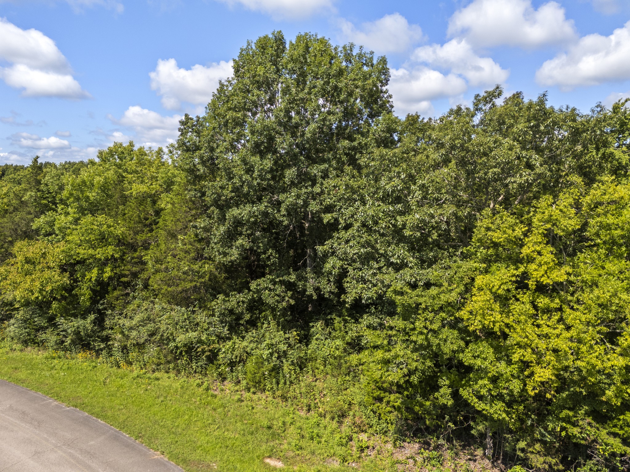 1840 Turner Road Lewisburg, TN 37091 - Photo 6 of 12 Gallery Image 6