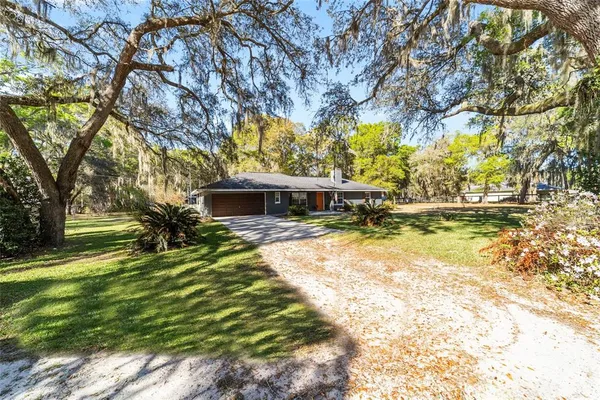 a view of a yard with an tree