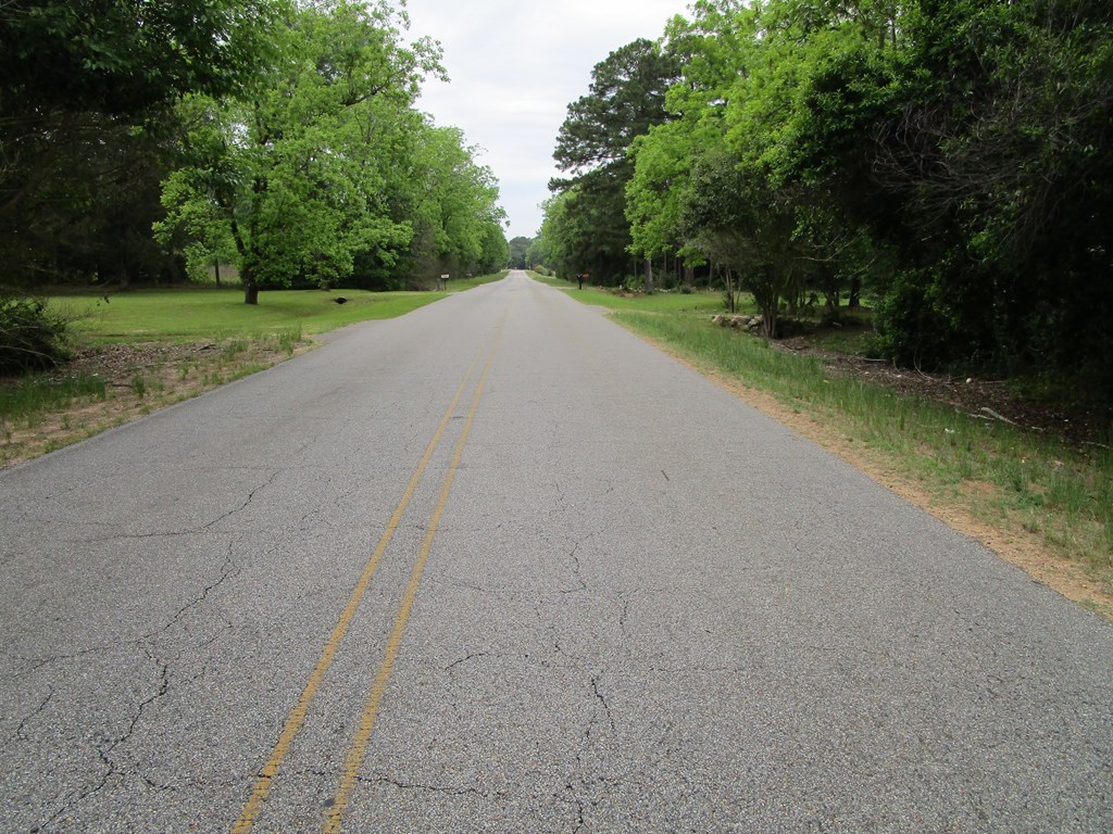 408 Mance Newton Road Dothan, AL 36303 - Photo 3 of 11