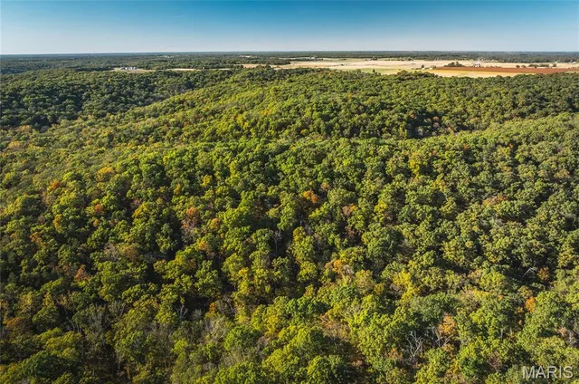 $455,000 | 0 County Road 4055, Rhineland, MO 65069