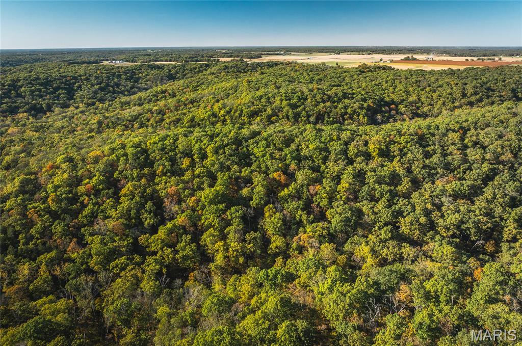 0 County Road 4055 Rhineland, MO 65069 - Photo 1 of 50