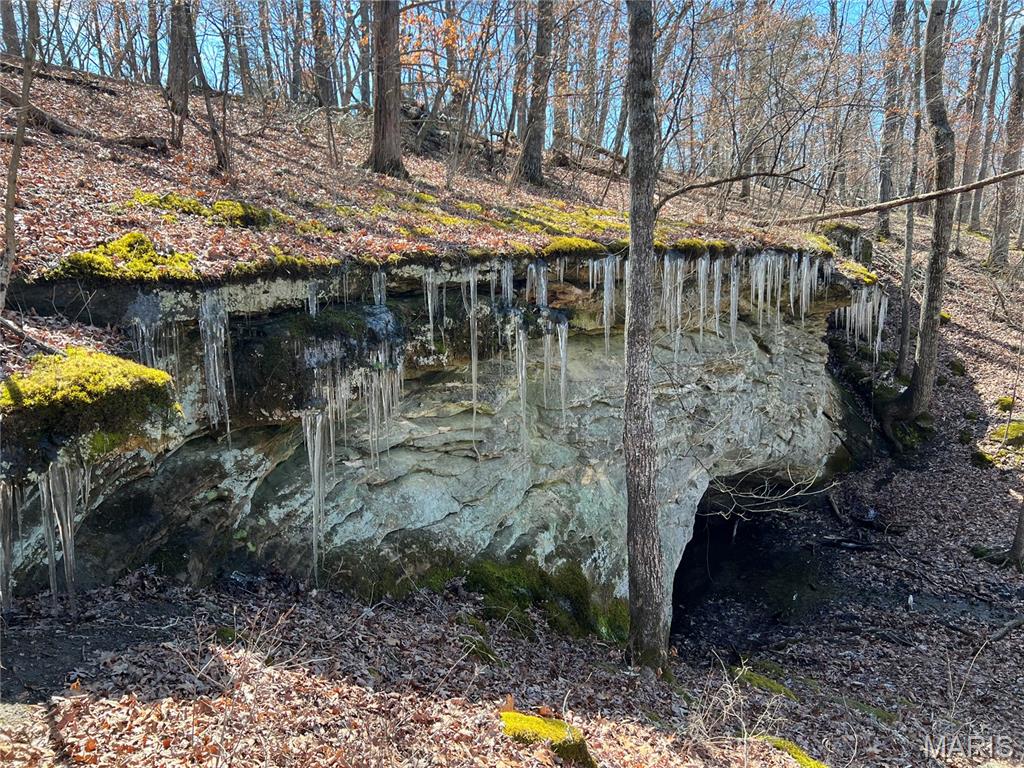 0 County Road 4055 Rhineland, MO 65069 - Photo 11 of 50