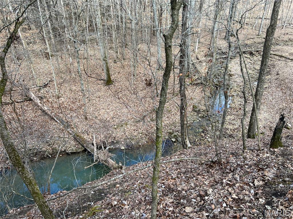 0 County Road 4055 Rhineland, MO 65069 - Photo 12 of 50