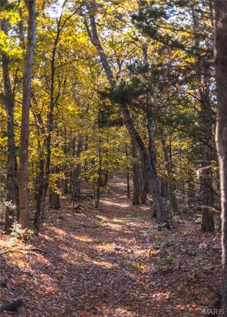 $455,000 | 0 County Road 4055, Rhineland, MO 65069